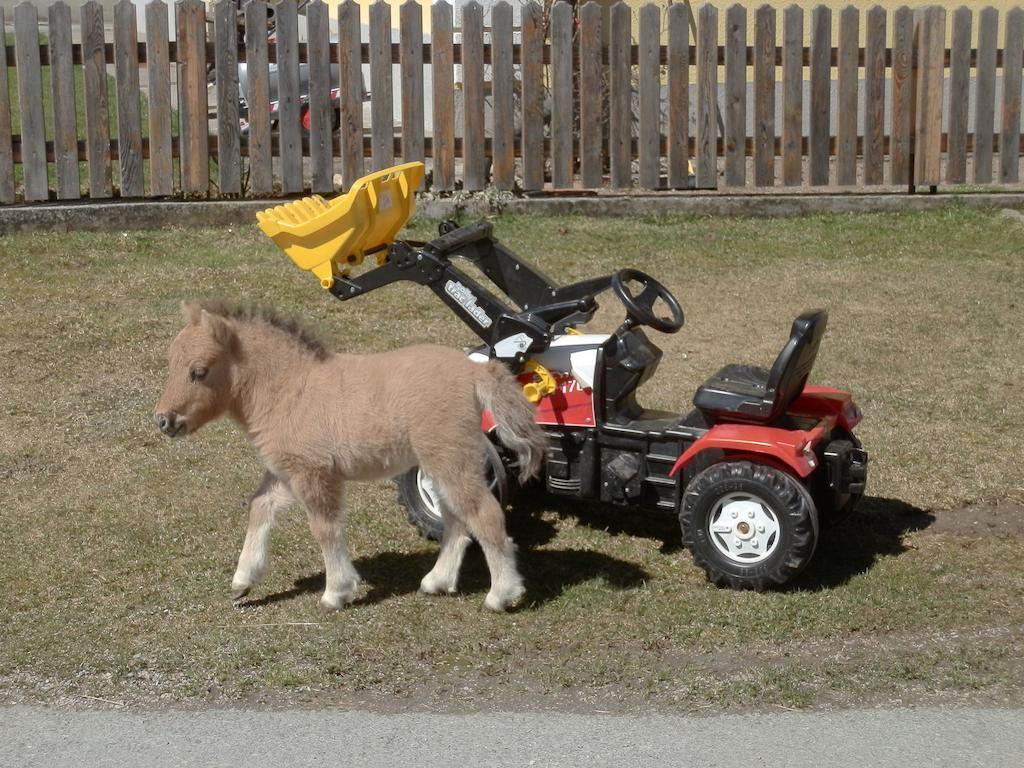 シュラニツェンKollerhofアパートメント エクステリア 写真